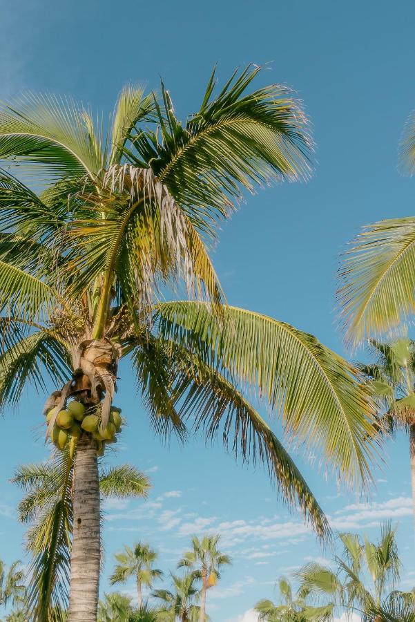 La Poza Boutique Hotel And Spa - Adults 15 Plus Todos Santos Εξωτερικό φωτογραφία