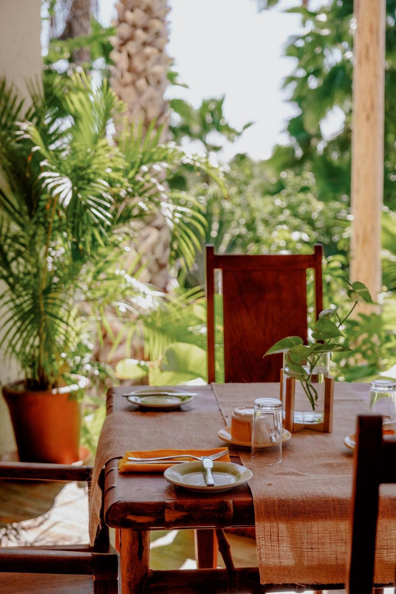 La Poza Boutique Hotel And Spa - Adults 15 Plus Todos Santos Εξωτερικό φωτογραφία