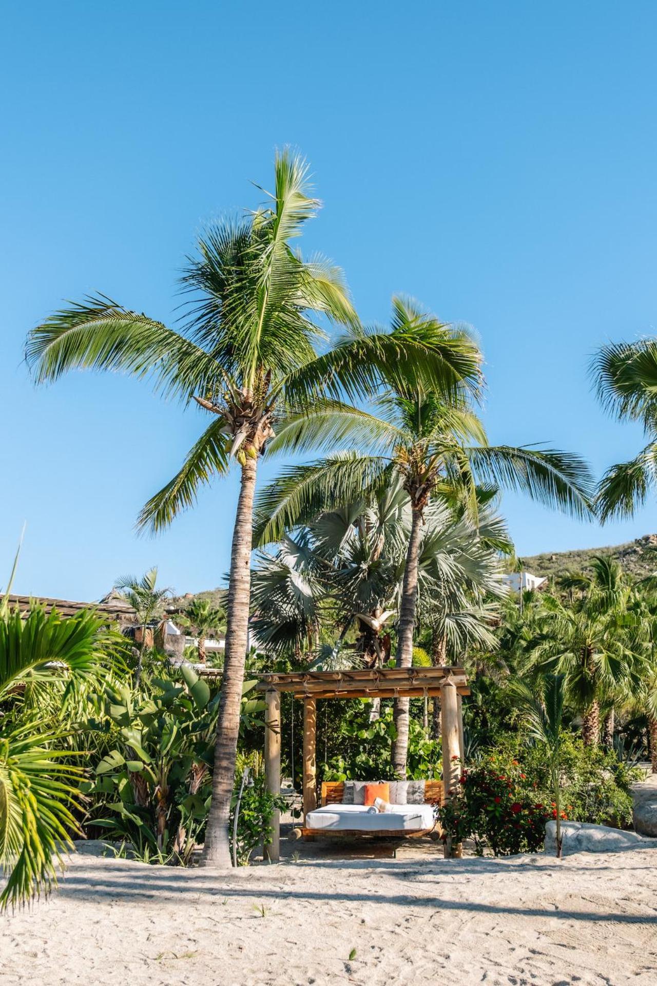 La Poza Boutique Hotel And Spa - Adults 15 Plus Todos Santos Εξωτερικό φωτογραφία